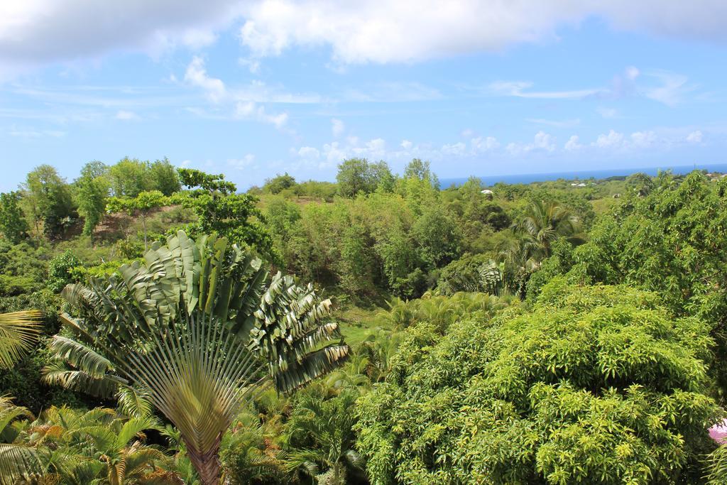 Appartamento Coco Land Sainte-Anne  Esterno foto